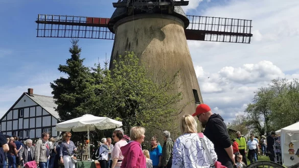 Zum M&uuml;hlenfest im vergangenen Jahr kamen rund 1000 Besucher nach Bentorf. - &copy; Archivfoto: Sylvia Frevert