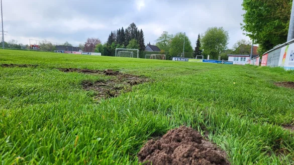 Der Sportplatz in Retzen wird h&auml;ufig von Maulw&uuml;rfen "heimgesucht". Das soll mit der Anlage eines neuen Naturrasens mit einem speziellen Unterbau verhindert werden. - &copy; Freya K&ouml;hring
