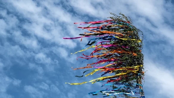 Der Maibaum geh&ouml;rt f&uuml;r viele zum Beginn des Wonnemonats dazu. In vielen Kommunen in OWL wird er noch traditionell mit einem Fest aufgestellt. In der &Uuml;bersicht verraten wir, wo. - &copy; Federico Gambarini
