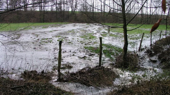 Das Foto zeigt Hochwasser an der Windwehe im Jahr 2005. - &copy; Ewald Thies/NABU Leopoldsh&ouml;he