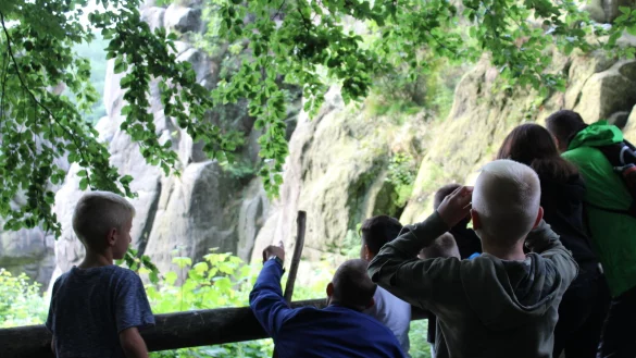 staunend-die-familien-lernen-die-natur-rund-um-die-externsteine-wahrend-der-gluhwurmchen-wanderung-ganz-neu-kennen - &copy; Joline Heller