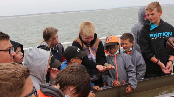 Die Kutterfahrt hat die Kinder besonders beeindruckt. Tobias Fehring nimmt eine Krabbe auf die Hand, auch Jannis Brand (rechts) hat es versucht. - &copy; Marianne Schwarzer(LZ)