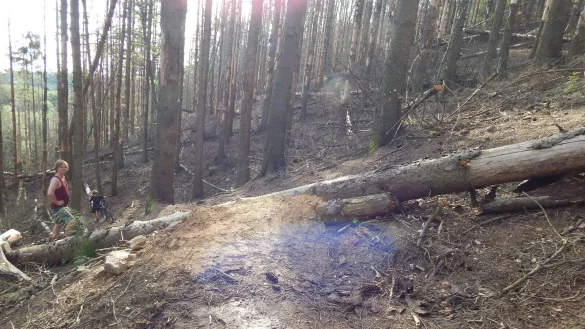 Die illegale Downhillstrecke am T&ouml;nsberg bereitet Sorgen. - &copy; Archivfoto: Gunter Held