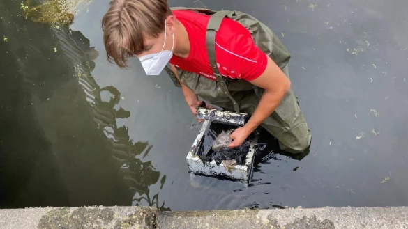 Der Tresor wird aus dem Wasser geholt. - &copy; Feuerwehr