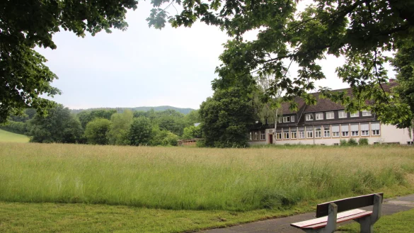 Dieses Grundst&uuml;ck will die OWL Immobilien GmbH bebauen. - &copy; Karolina Schmidt