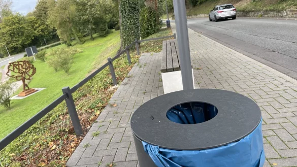 Braucht es an der Stra&szlig;e zum Niederntor f&uuml;nf B&auml;nke und f&uuml;nf M&uuml;lleimer in unmittelbarer N&auml;he? Wie w&auml;re es mit einer Schenkung im Rahmen der interkommunalen Zusammenarbeit? - &copy; Silke Buhrmester