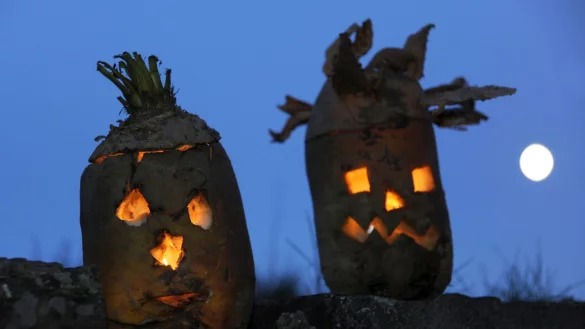 An zwei Tagen in den Herbstferien k&ouml;nnen Besucher im Freilichtmuseum Detmold R&uuml;benlaternen schnitzen. - &copy; LWL/Sandra Sanchez