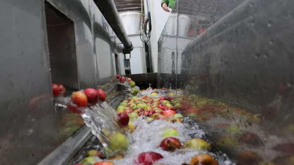 F&uuml;r die &Auml;pfel aus Lippe beginnt die Reise am Lohmannshof in der Waschstra&szlig;e. - &copy; Kyrill von Matuschka