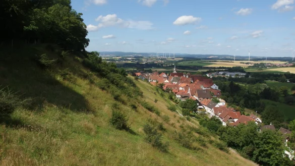 Auf dem Burgberg werden einige B&uuml;sche entfernt. - &copy; Biologische Station Lippe