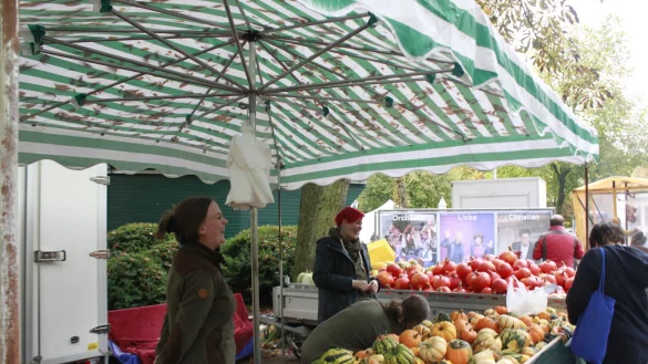 So sch&ouml;n war der Bauernmarkt 2024. - &copy; Juliana Szabo