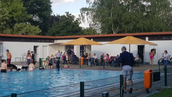 Das Hundeschwimmen im Freibad in Lieme ist sehr beliebt. - &copy; Michael Ernst
