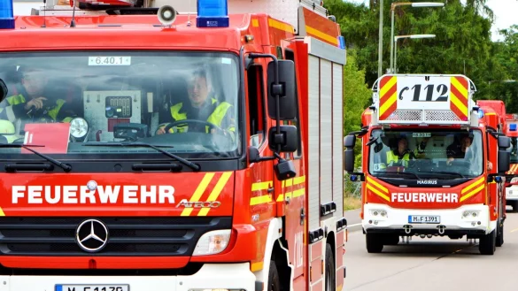 Auf einer Baustelle in der Siegfriedstra&szlig;e haben Unbekannte am Freitagabend Baumaterial in Brand gesteckt. - &copy; Symbolbild: Pixabay