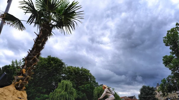 Dr&auml;uender Himmel &uuml;ber Palmen in der Residenz: Vor Detmold macht der Klimawandel nicht Halt. Daran muss man sich anpassen, weswegen es k&uuml;nftig ein Anpassungsmanagament und ein Anpassungskonzept geben soll. - &copy; Sven Koch