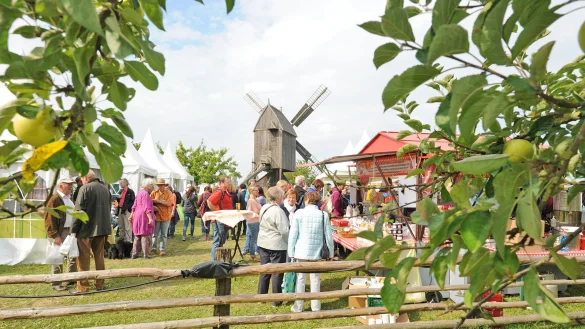 Am ersten Septemberwochenende findet der Freilichtgenuss im LWL-Freilichtmuseum Detmold statt.
Foto: LWL/Klein - © LWL/Klein