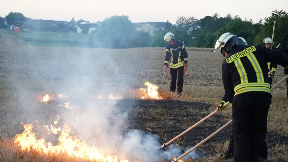 Feuerwehrleute patschen die Flammen aus. Im Hintergrund entfacht Harald Weber neue Braende. - &copy; Freitag TV