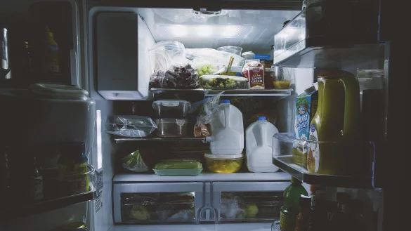 Besonders Speisereste und K&auml;se lassen sich gut im oberen K&uuml;hlschrankfach lagern. - &copy; Symbolbild: Pixabay