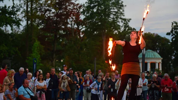 Feuerk&uuml;nstler im Park. - &copy; Nicole Ellerbrake