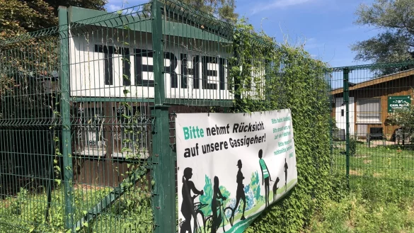 Das Tierheim an der Ziegelstra&szlig;e beherbergt Hunde, Katzen und Kleintiere. Foto: Sven Kienscherf - &copy; Sven Kienscherf