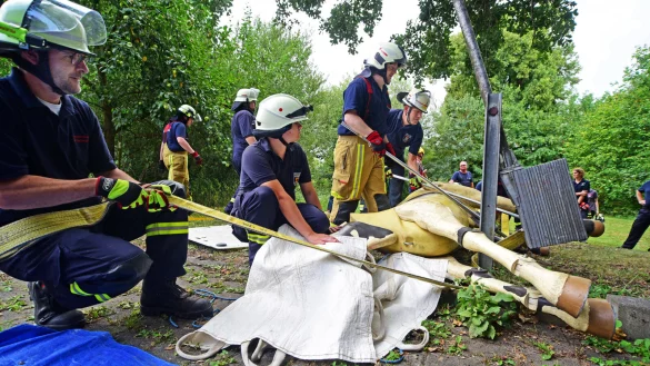Der Kopf von "Sam" ist bedeckt, dies dient der Beruhigung des "Pferdes". Jeder Handgriff muss sitzen, wenn ein so gro&szlig;es Tier verletzt am Boden liegt. - &copy; Nicole Ellerbrake