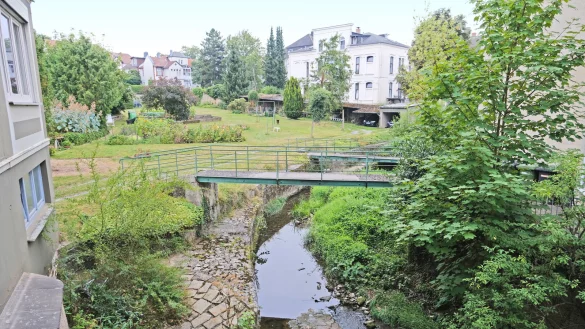 Eine der wenigen Frei- und Grünflächen im Zentrum zwischen der oberen Langen Straße, Hasselter Platz und Leopoldstraße - hier gesehen vom Outback aus. - © Sven Koch
