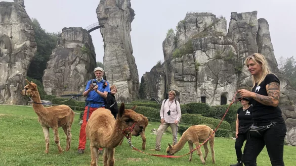 Vor mystischer Kulisse der Externsteine: Michael S&auml;nger (links) und seine Begleiter (weiter von links) Annalena Schaefer, G&uuml;nter Weigel (LTM), Petra M&ouml;ller und Bonnie Gehrt (Alpakahof) sowie die Vierbeiner Spotty, Clyde, Julius und Porthos. - &copy; Silke Buhrmester