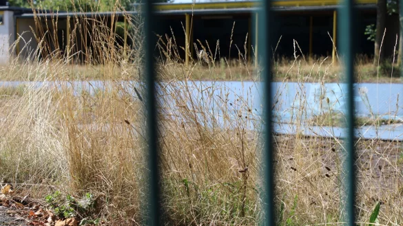 Im geschlossenen Augustdorfer Freibad bahnt sich die Natur immer weiter ihren Weg. - © Nico Duellmann