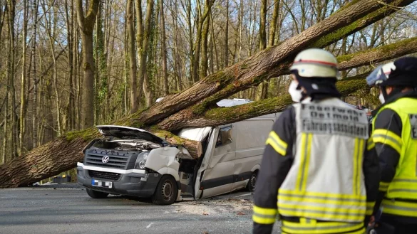 Ein Bild der Verw&uuml;stung auf der Paderborner Stra&szlig;e. Foto: Tim Freitag - &copy; Tim Freitag