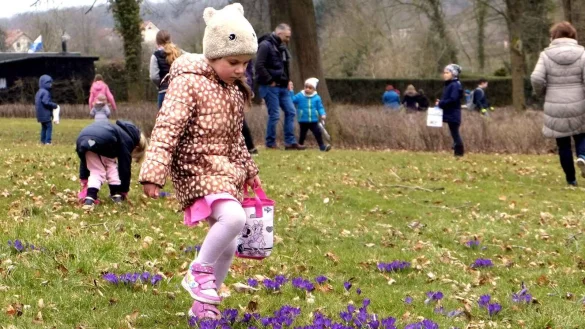Da ist was los: Das Ostereiersuchen im Park. - &copy; Marketing Extertal