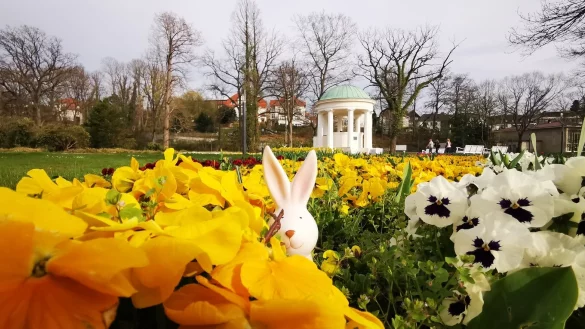 Ostern im Kurpark. - &copy; Staatsbad