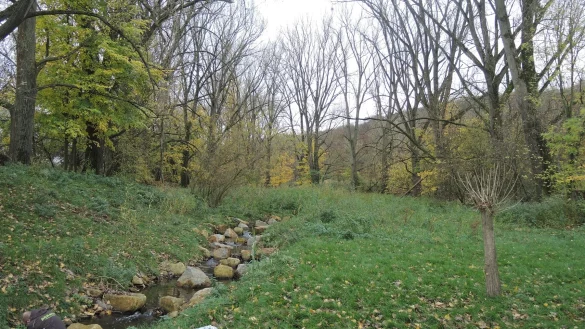 Wasser im Fluss - Herrengraben: &Uuml;ber 500 Ma&szlig;nahmen haben die Projektbeteiligten durchgef&uuml;hrt. 2020 beseitigte ein neu angelegter Gew&auml;sserverlauf etwa den Wasserstau zwischen der Weser und dem Herrengraben (Kalletal). - &copy; Kreis Lippe