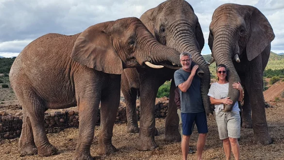 Frank Lengert und Angela Lange-Lengert treffen auf der Buffelsdrift Game Lodge auf Elefanten. - &copy; Bildrechte: Angela Lange-Lengert