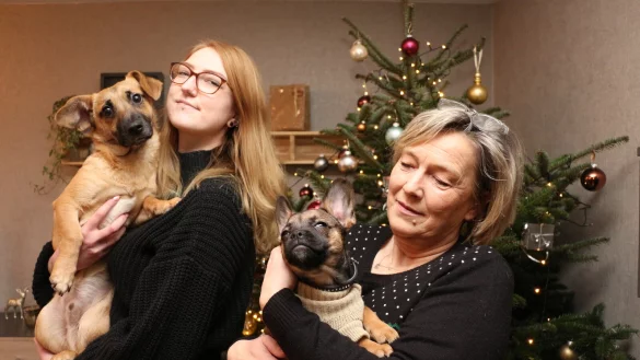 Piro (links) hat bei Sarah und ihrer Mutter Simone Bailis ein neues Zuhause gefunden. Seit einer Woche ist auch Welpe Yuki dazugekommen. Die zwei Vierbeiner verstehen sich gut. - &copy; Janet K&ouml;nig