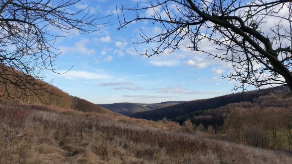 Mit der Naturschutzma&szlig;nahme wird ein alter Kulturlandschaftslebensraum und der Charakter des Tiefentals erhalten. - &copy; Kreis Lippe