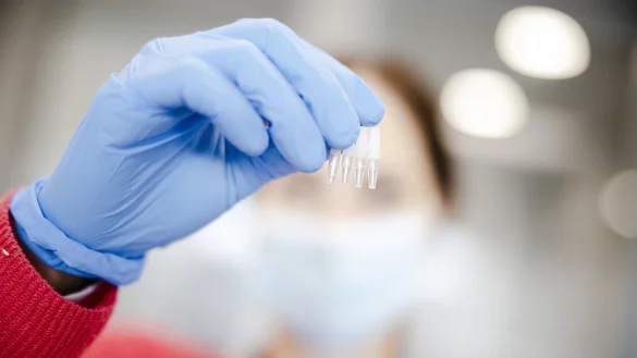 Dem Virus auf der Spur: Auch in Lippe wurde jetzt ein Fall der neuen Corona-Variante Omikron entdeckt.&nbsp; - &copy; Michael Buchholzer/KEYSTONE/dpa