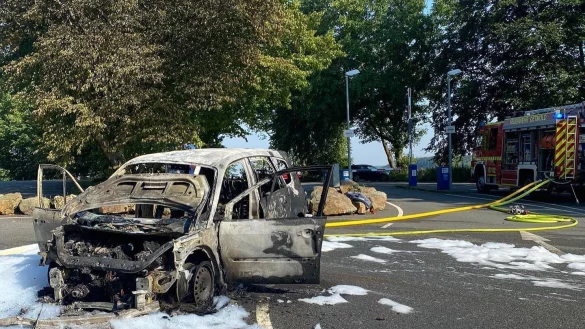 Der Renault ist vor der Schranke zum Parkplatz am Hermannsdenkmal v&ouml;llig ausgebrannt. Die m&auml;chtige Heinbuche dahinter ist so stark besch&auml;digt, dass sie gef&auml;llt werden muss, sagt F&ouml;rster Stephan Radeck. - &copy; Feuerwehr Detmold