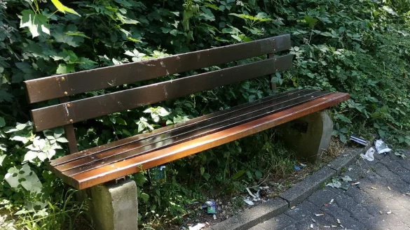 An den Fußwegen rund um das Klinikum liegt allerhand Unrat. Auch die Büsche wachsen wild in den Weg hinein. Für die Anwohner ein Unding. - © Claus-Dieter Meinert