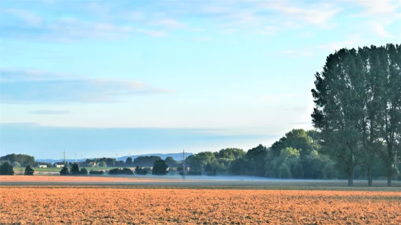Das Gebiet rund um den Oetternbach soll nach dem Wunsch des Aktionsbündnisses geschützt werden. - © Annette Heuwinkel-Otter