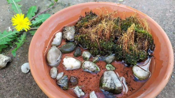 Eine solche Insektentr&auml;nke ist in wenigen Minuten selbst gebaut. - &copy; Kerstin Schn&uuml;cker