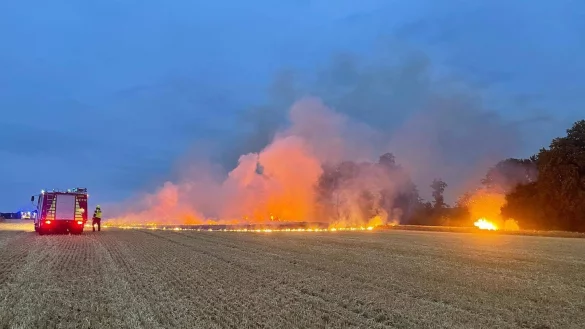 Rund 100 Einsatzkr&auml;fte k&auml;mpfen am Mittwoch gegen den Fl&auml;chenbrand an der Meinberger Stra&szlig;e. - &copy; Rieks/Feuerwehr Detmold