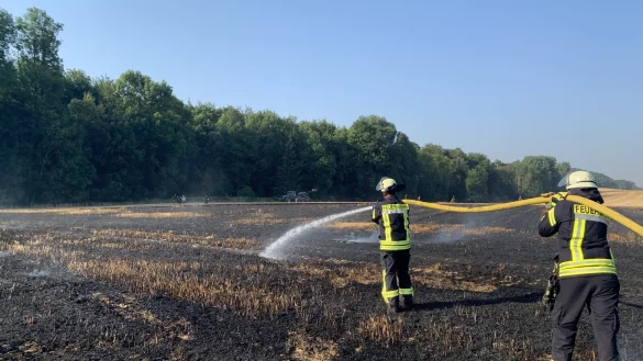 Einsatz in Ehrsen: So wie hier am Mittwochabend im Bad Salzufler Ortsteil, mussten die lippischen Wehren in den vergangenen Tagen h&auml;ufig ausr&uuml;cken, um Br&auml;nde auf Feldern zu l&ouml;schen. - &copy; Feuerwehr/Daniel Hobein