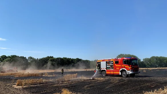 Gro&szlig;e Teile des Kornfelds nahe der Ostwestfalenstra&szlig;e sind bereits abgebrannt. Die Feuerwehr versucht, ein Ausbreiten der Flammen zu verhindern. - &copy; Daniel Hobein/Freiwillige Feuerwehr Bad Salzuflen