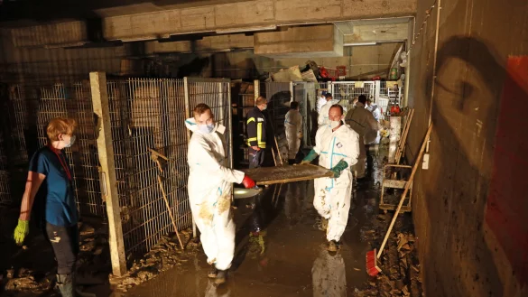 Die Retter bergen das Archiv in Bad Neuenahr-Ahrweiler. - &copy; Brunnenstrasse 953474 KIRCHDAUNAlle Rechte vorbehalten