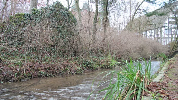 Der Hillbach flie&szlig;t &uuml;ber das Grundst&uuml;ck, dessen n&ouml;rdlicher Teil jetzt nicht bebaut wird. - &copy; Nadine Uphoff