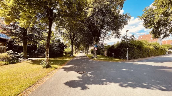 Auf dem Weg zum Freibad gibt es ab der Abzweigung Badstra&szlig;e/Am Rennekamp keine Geh- beziehungsweise Radwege mehr. - &copy; Die Partei