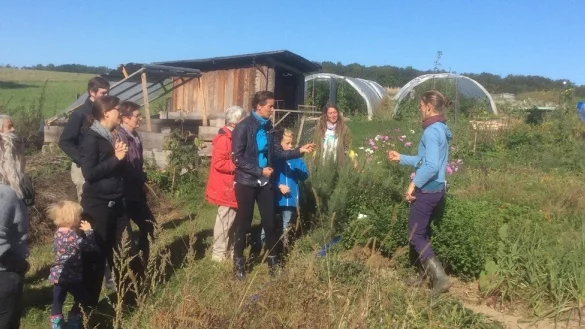 Leckere Kr&auml;uter zeigt die Solawi-G&auml;rtnerin auf dem Gem&uuml;se-Acker in Dalborn. - &copy; Solawi Dalborn
