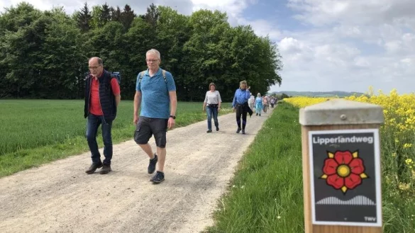 Teile des neuen Lipperlandwegs wollen die TWV-Wanderer am Dienstag, 19. Juli, erkunden. - © Silke Buhrmester