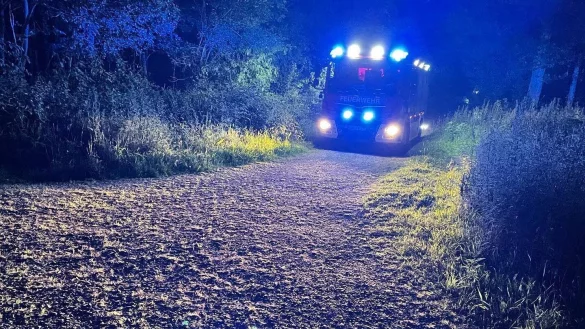 Die Feuerwehr wurde in den Leistruper Wald gerufen. Dort brannte es an mehreren Stellen. - &copy; FW DT/&Ouml;.B&ouml;ttcher