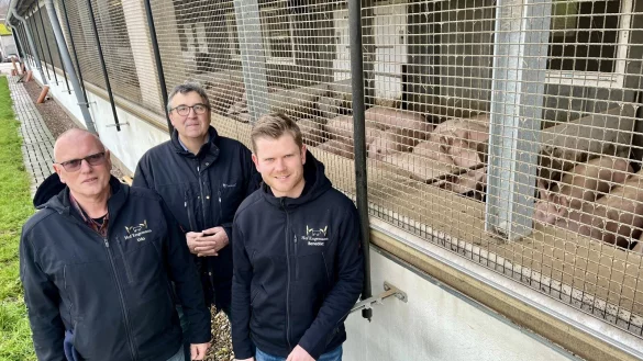 Udo Engemann (v. l.) , Antonius Tillmann und Benedikt Engemann zeigten den umgebauten Schweinestall, der mehr Tierwohl verspricht. - &copy; Mareike K&ouml;stermeyer