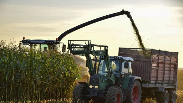 Die nasse Witterung im Herbst verz&ouml;gerte und erschwerte die Herbstbestellung, sagt der Westf&auml;lisch-Lippische Landwirtschaftsverband. - &copy; WLV