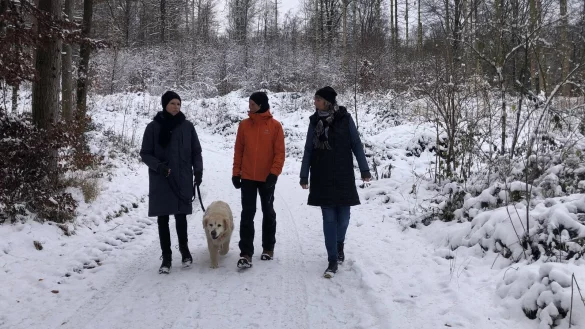 Kirsten W&ouml;ltje (links) mit H&uuml;ndin Juli im Gespr&auml;ch mit Kirsten Nolte und Steh-auf-Projekt-Leiter Thorsten H&uuml;ttemeier. - &copy; Alexandra Schaller